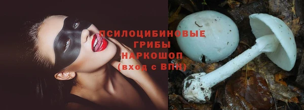 первитин Алексеевка