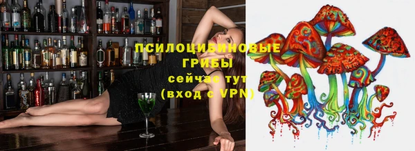 эйфоретик Алексин