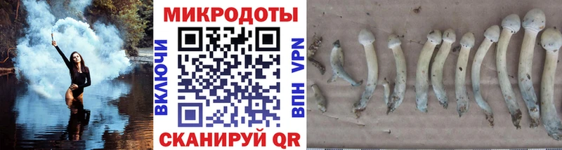 маркетплейс какой сайт  Чехов  Псилоцибиновые грибы мухоморы 